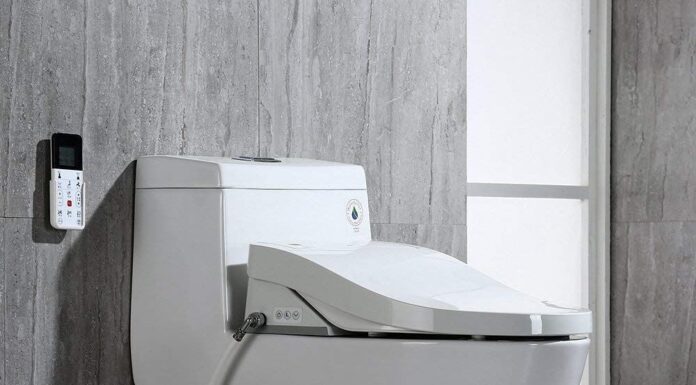 The 5 Best Bidet Toilets best-bidet-toilets